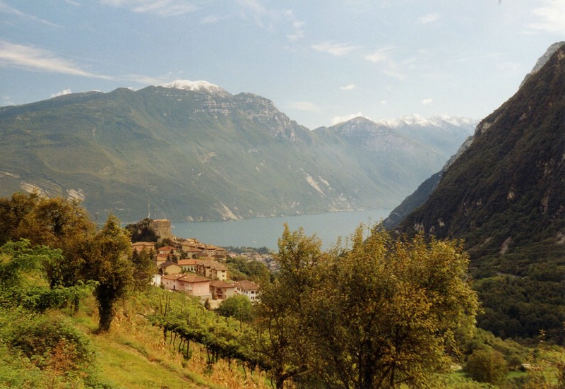 gs0010.jpg