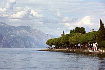 gs2031.JPG