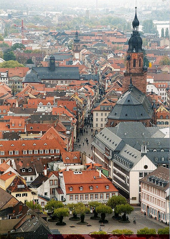 Altstadt_Garten.jpg