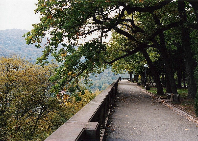 Garten.jpg
