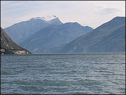 IMG_1262.jpg