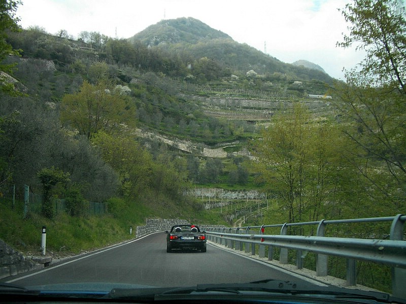 IMGP0257.jpg