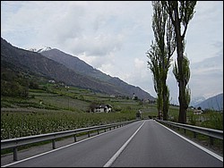 DSC01771.jpg