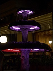 IMGP0313.jpg