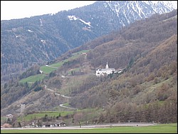 IMG_1153.jpg