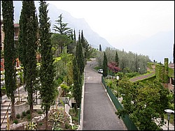 IMG_1203.jpg