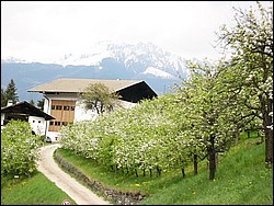 P1020110.jpg