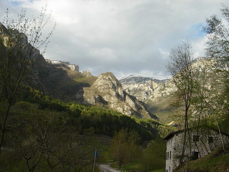 DSC01980.jpg