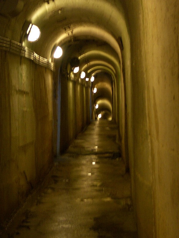 IMGP0290.jpg