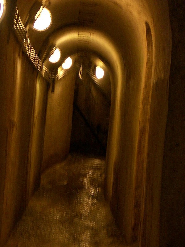 IMGP0293.jpg