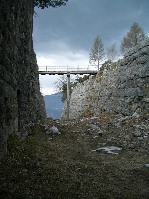 IMGP0294.jpg