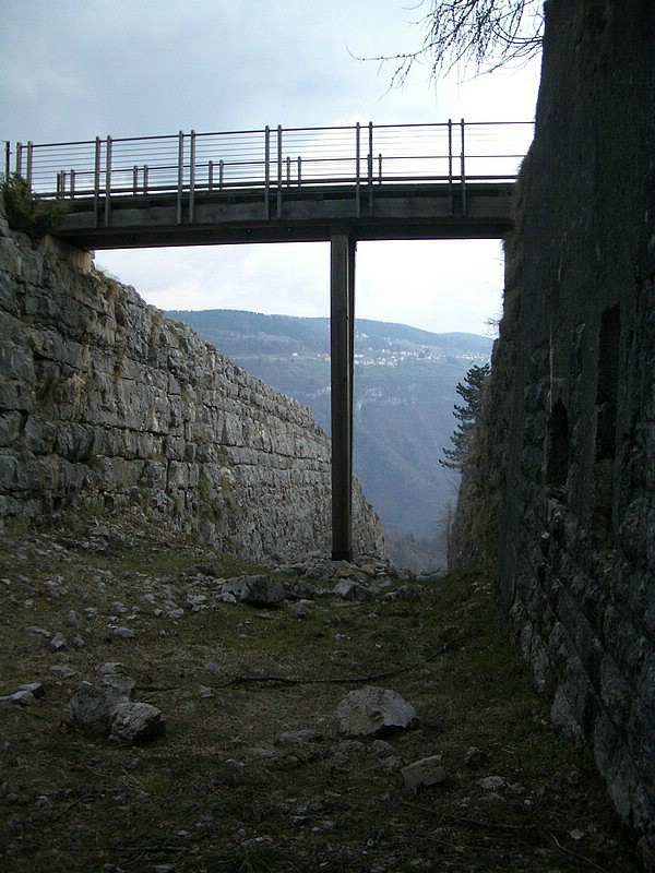 IMGP0295.jpg