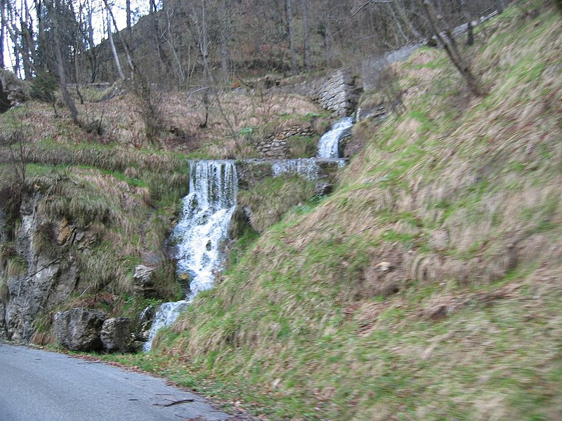 IMG_0655.jpg