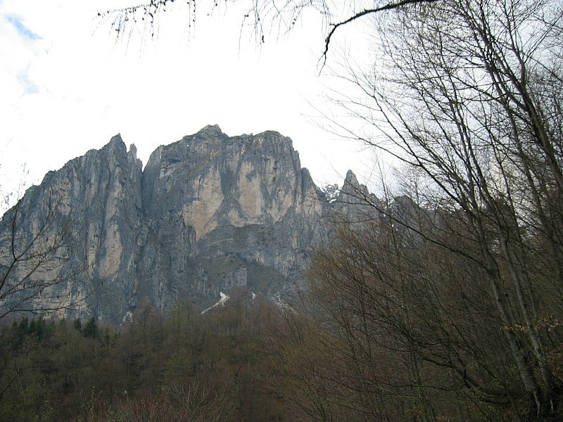 IMG_0663.jpg