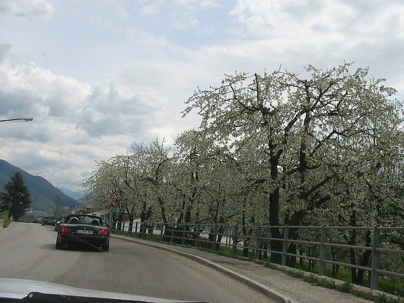 IMG_1287.jpg