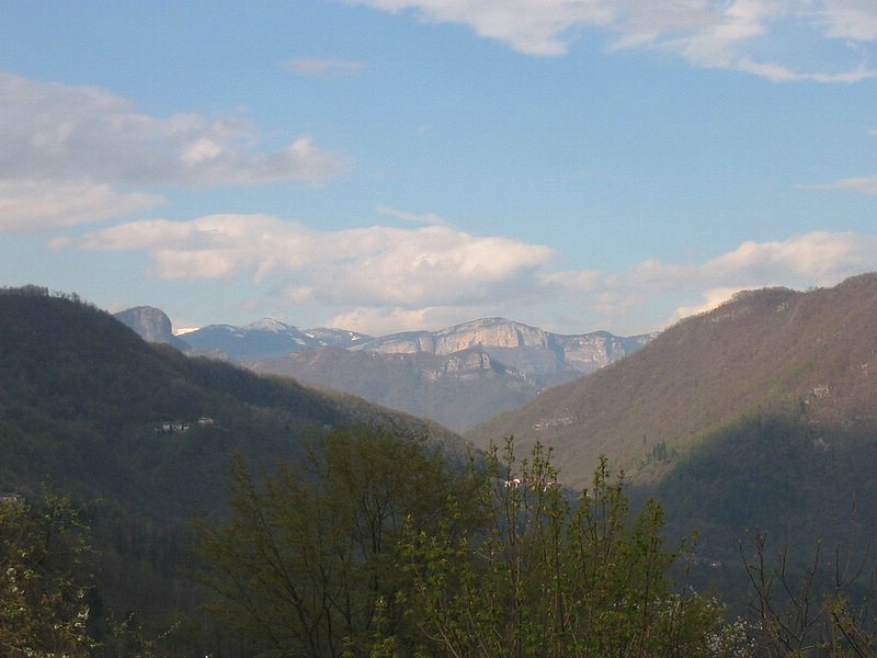 IMG_1311.jpg