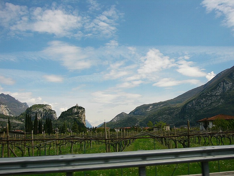 P1020148.jpg