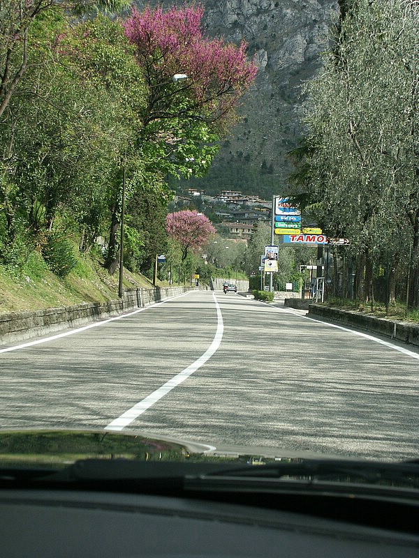 PICT0046.jpg