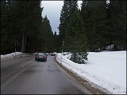 DSC01890.jpg