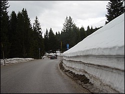 DSC01891.jpg