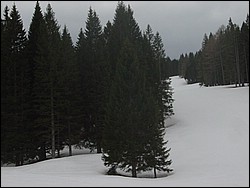 DSC01896.jpg