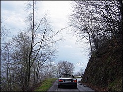 DSC01959.jpg
