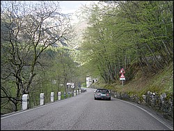 DSC01979.jpg