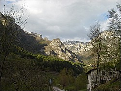DSC01980.jpg