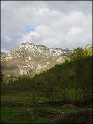 DSC01981.jpg