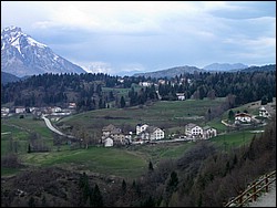 IMGP0278.jpg