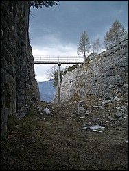 IMGP0294.jpg