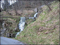 IMG_0655.jpg