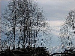 IMG_0658.jpg
