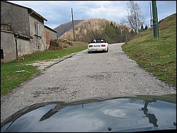 IMG_1062.jpg