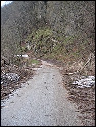 IMG_1083.jpg