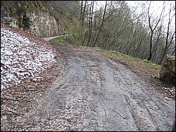 IMG_1085.jpg