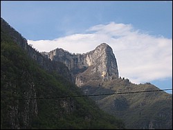 IMG_1302.jpg
