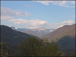 IMG_1311.jpg