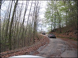 IMG_1313.jpg