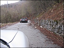 IMG_1316.jpg