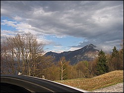 IMG_1318.jpg