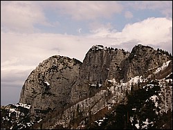 P1020163.jpg