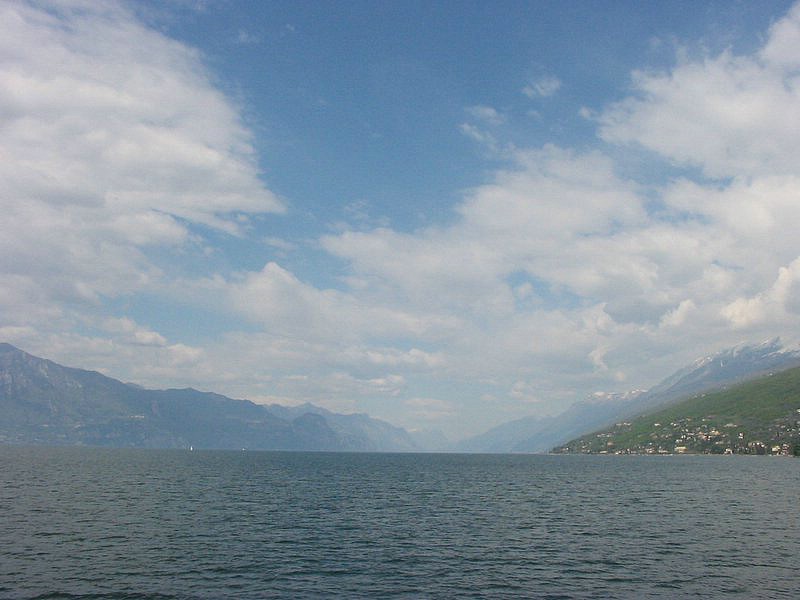 IMG_0489.jpg