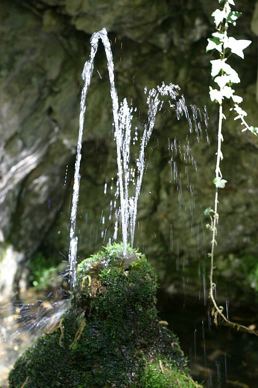 IMG_1946.jpg