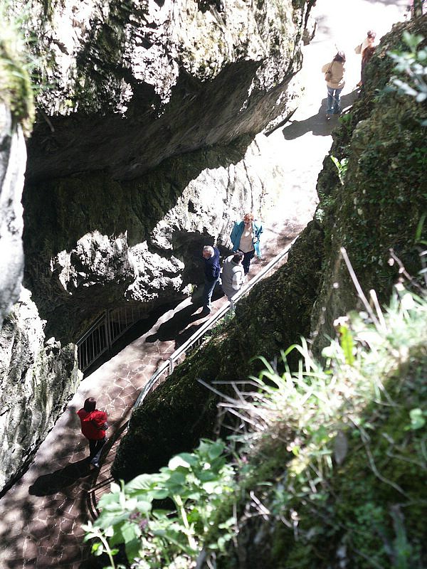 PICT0262.jpg