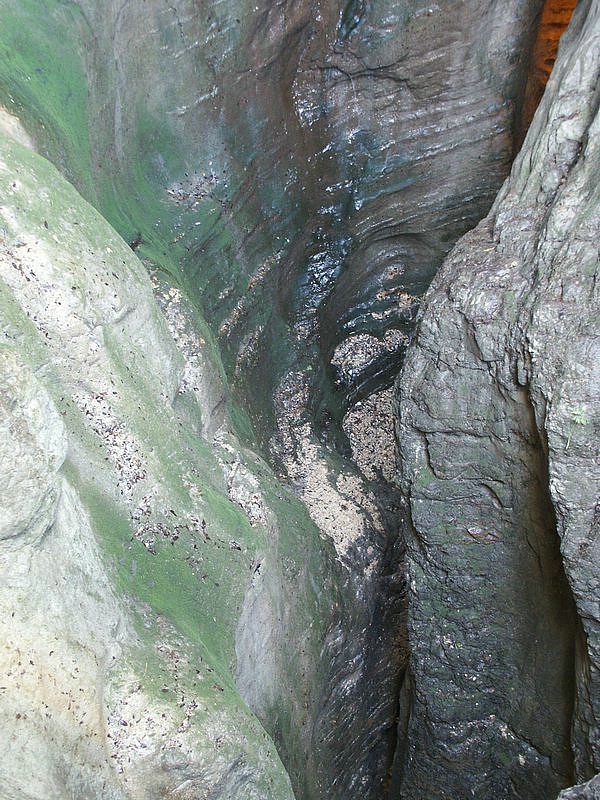 PICT0263.jpg