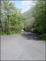 DSC02001.jpg
