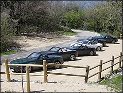 DSC02010.jpg