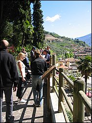 IMG_1143.jpg