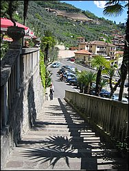 IMG_1150.jpg